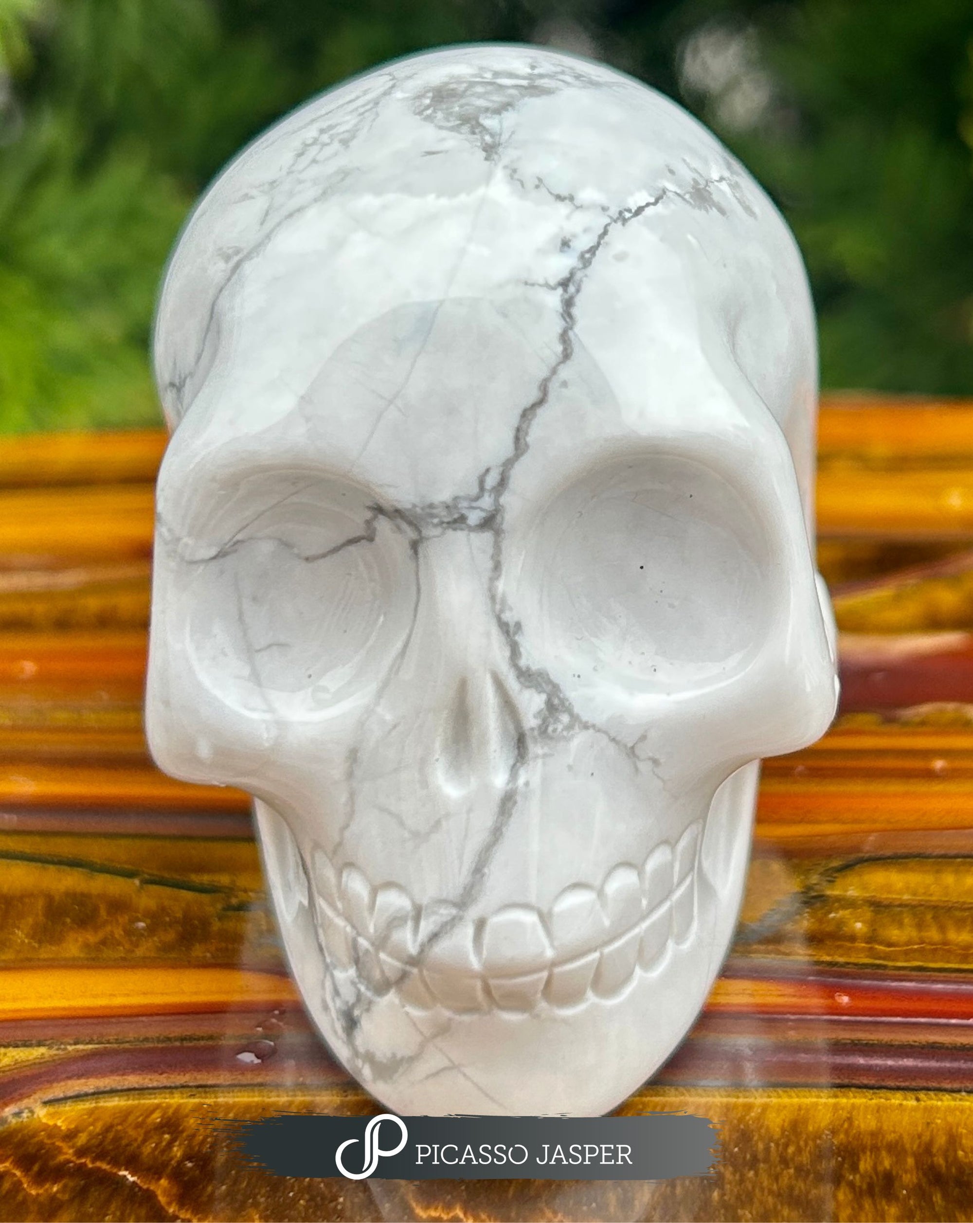 Howlite Skull- Calm, Patience & Healing