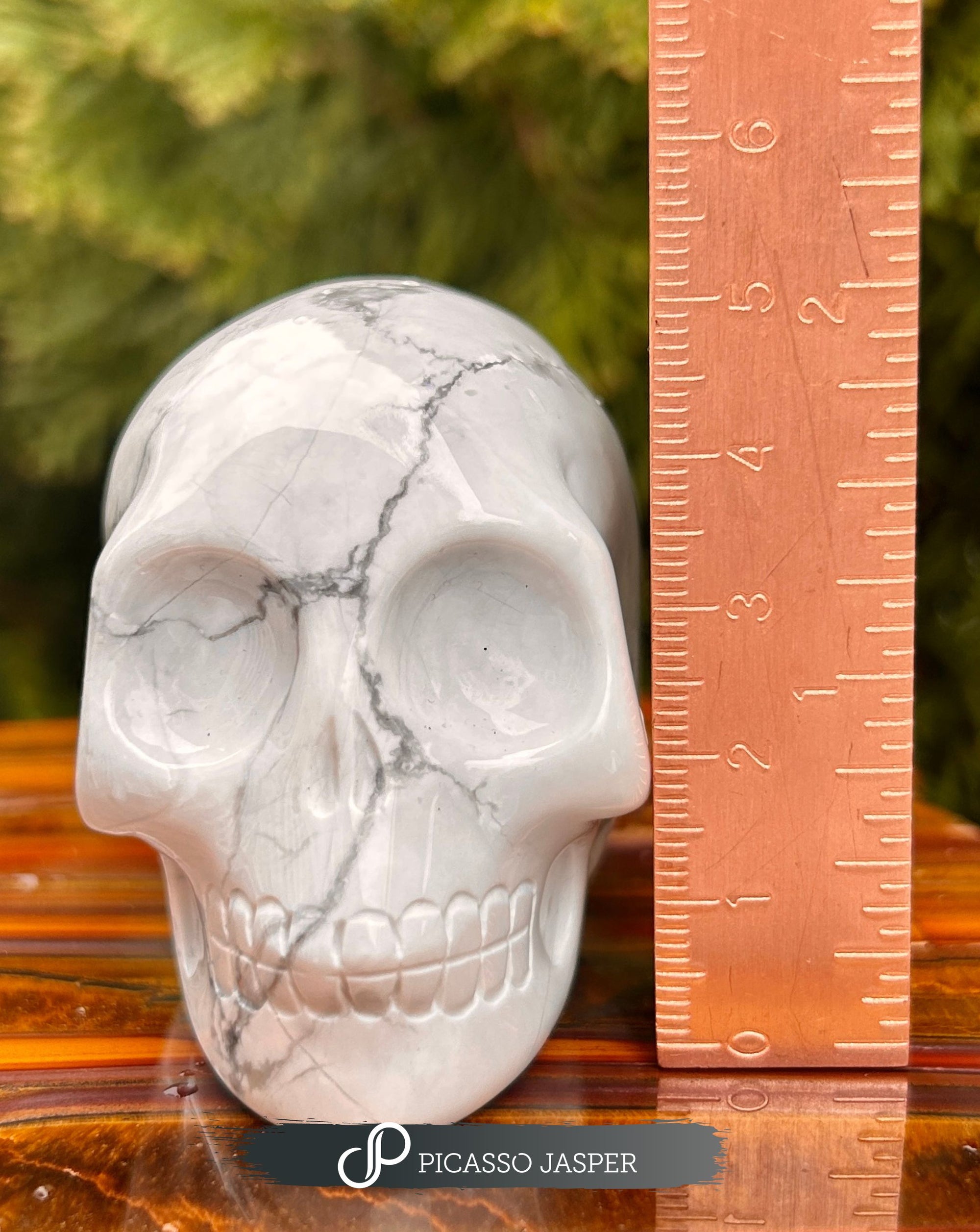 Howlite Skull- Calm, Patience & Healing