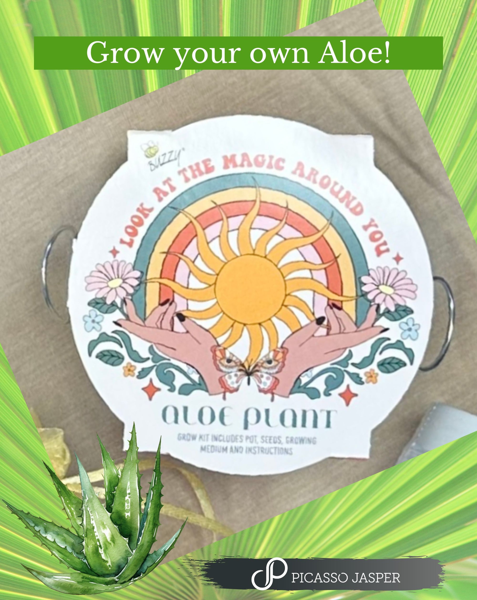 Grow your own Aloe Vera Plant!